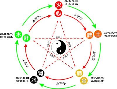 楊五行|杨字的五行属性